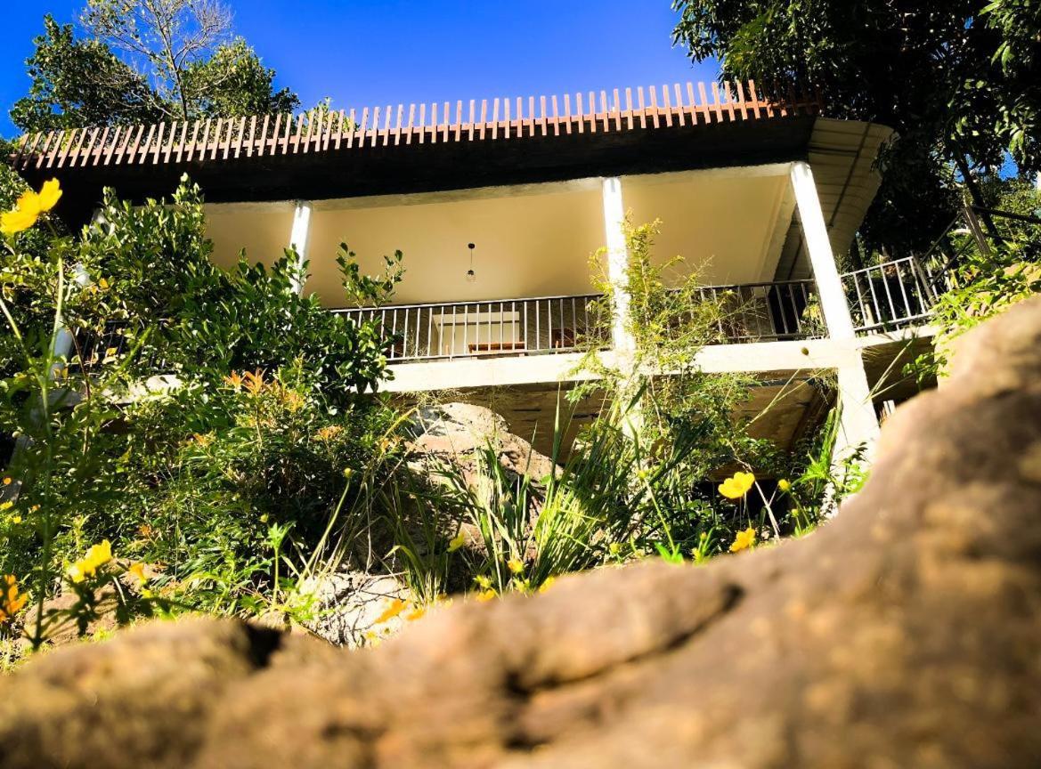 Nature Green Hotels On Rock Home Procida Dış mekan fotoğraf